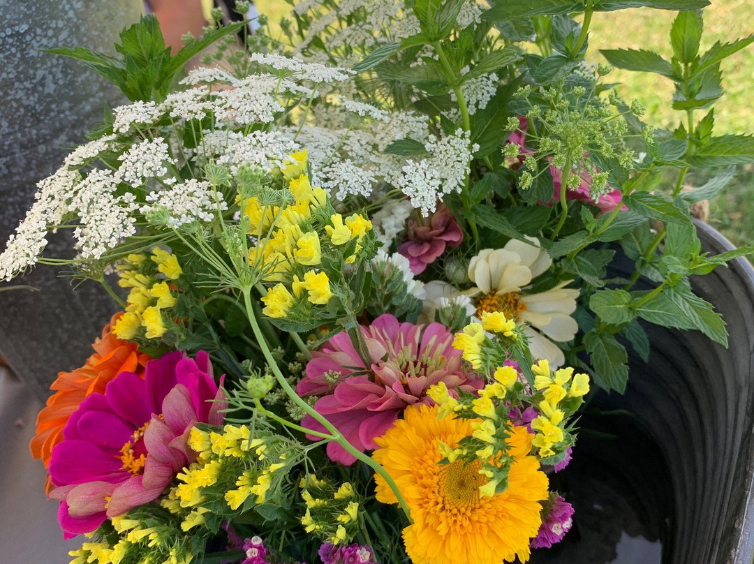 Asbury Church Farmers Market-Smyrna必去景点