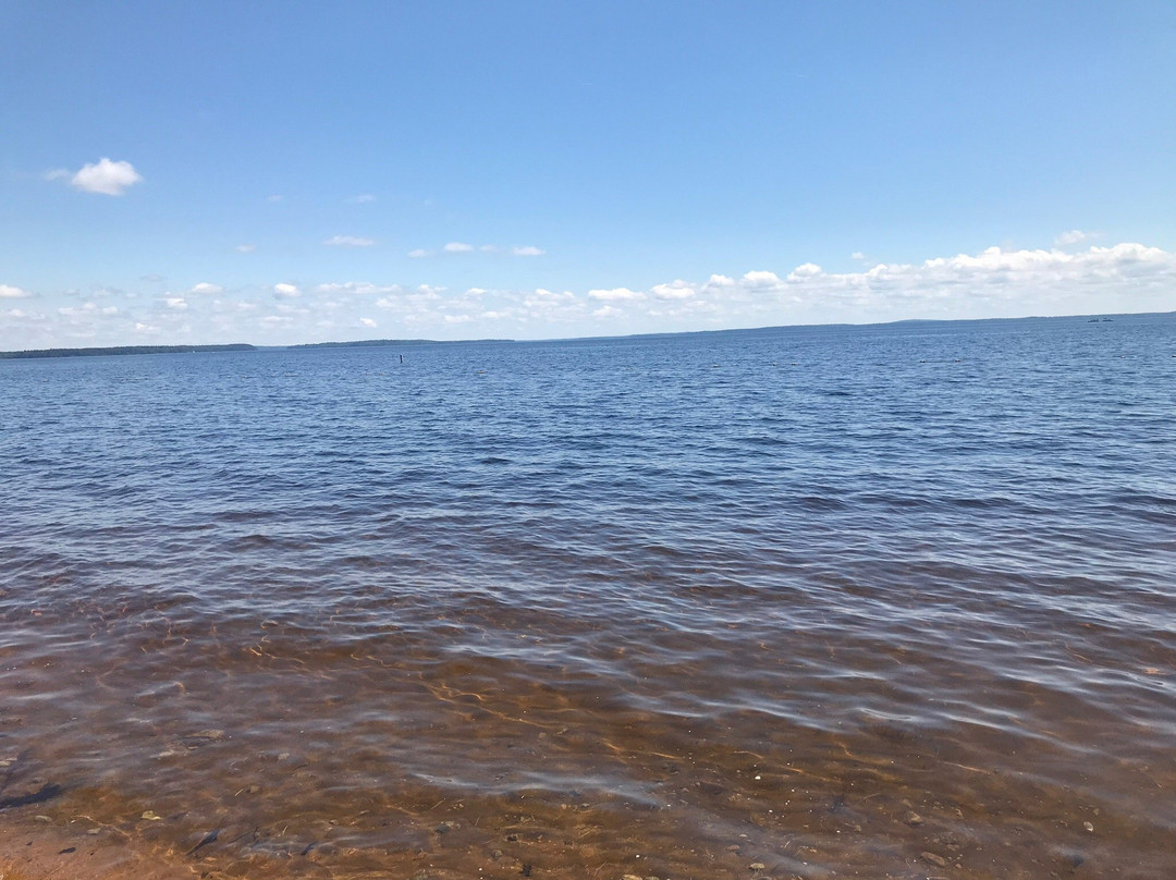 Sebago Lake State Park景点图片