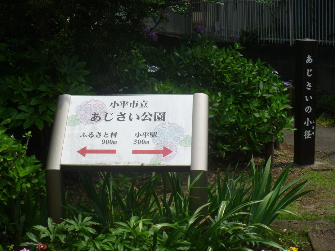 Ajisai Park-小平市必去景点