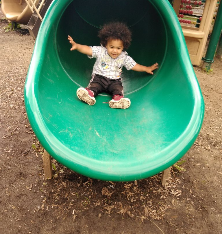 VFW Park-罗亚尔奥克必去景点