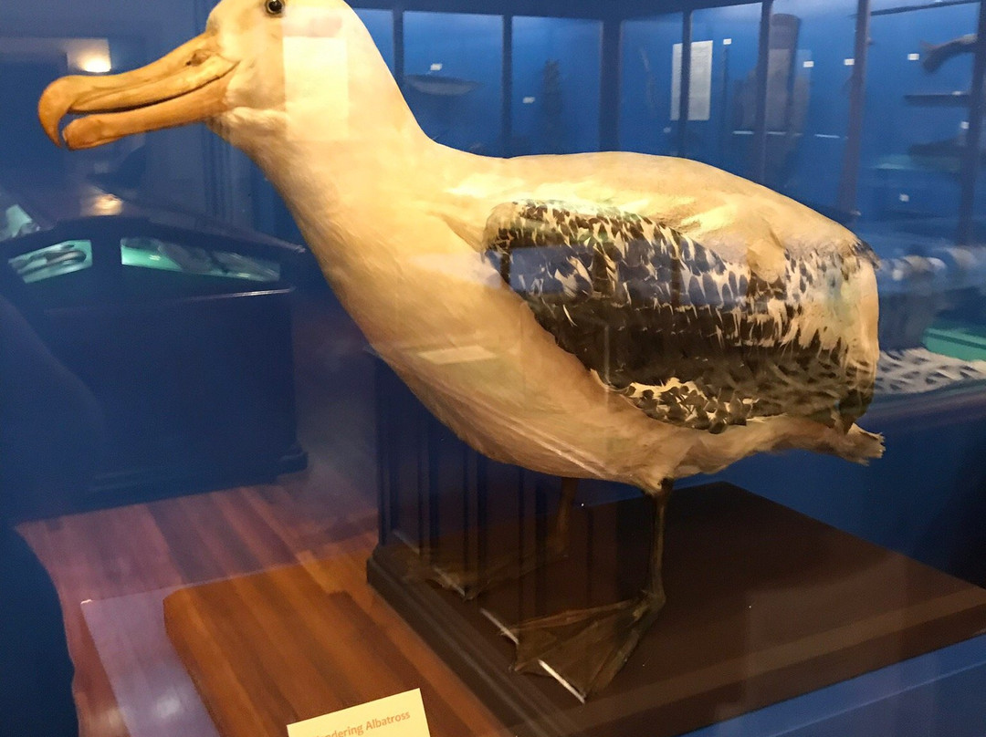 Museum of Natural History and Planetarium-普罗维登斯必去景点