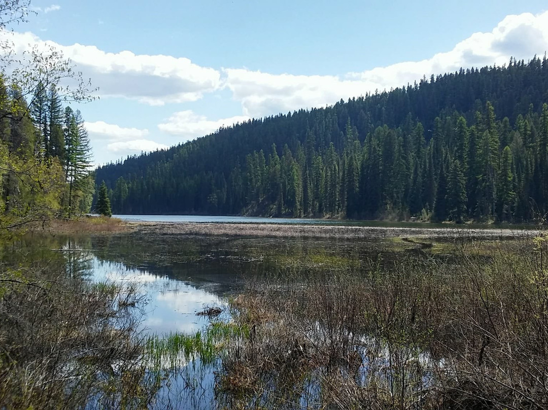 Action Rentals-怀特菲什必去景点