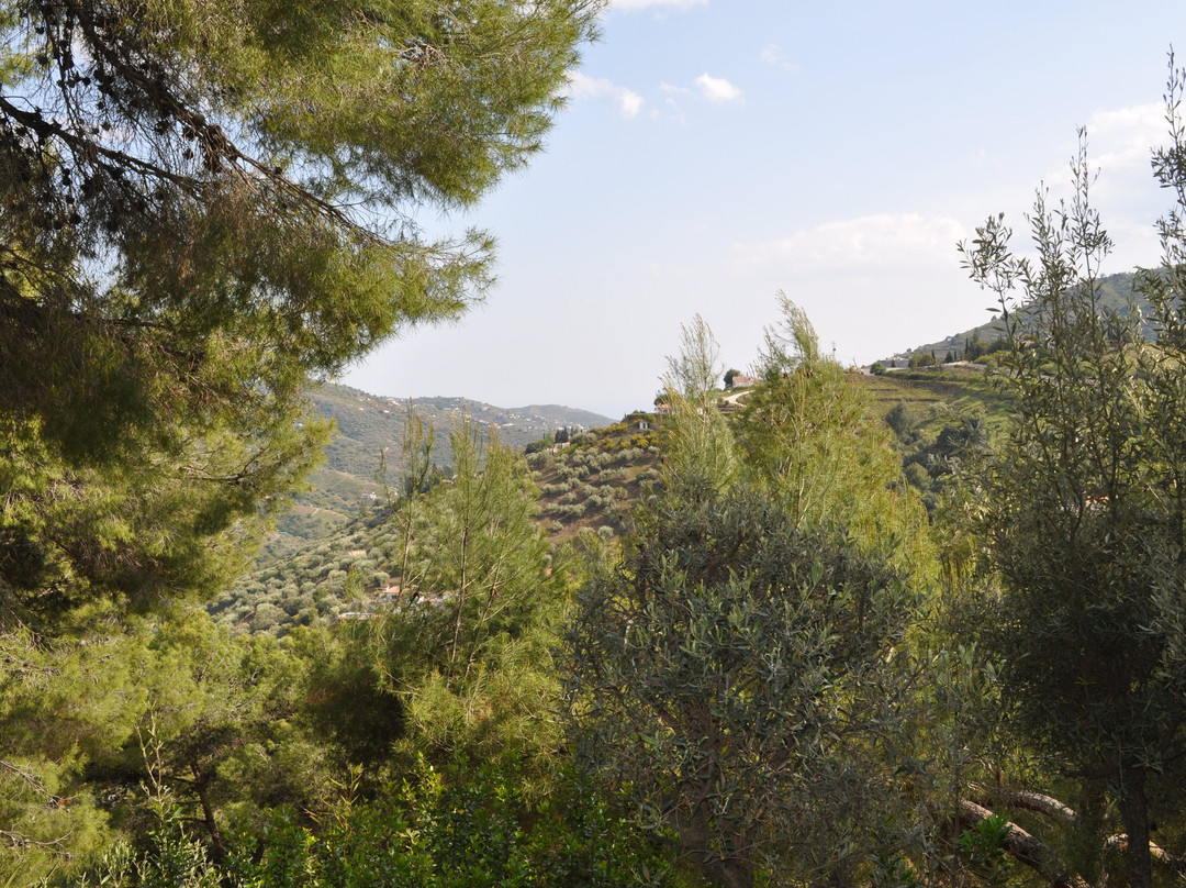 Finca Los Pinos主图