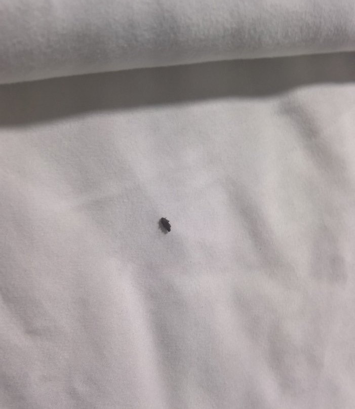 Super 8 by Wyndham Dumas TX主图