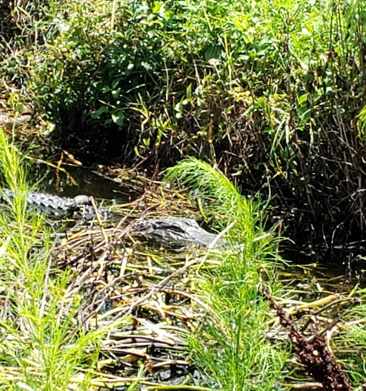 Egan's Creek Greenway-费尔南迪纳岛必去景点