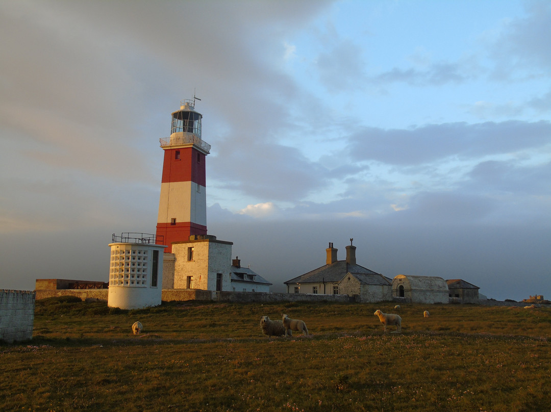 Bardsey Island景点图片