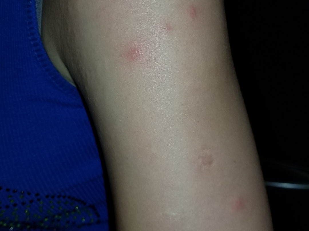 Chelan Resort Suites主图