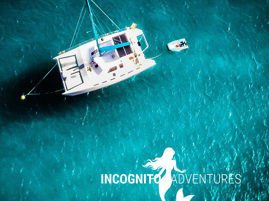 Incognito Adventures景点图片