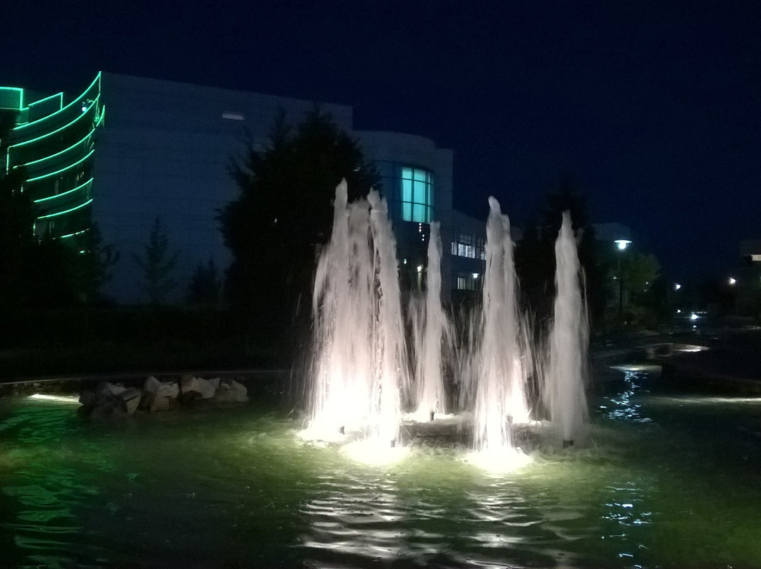 Gashalti Health Hotel主图