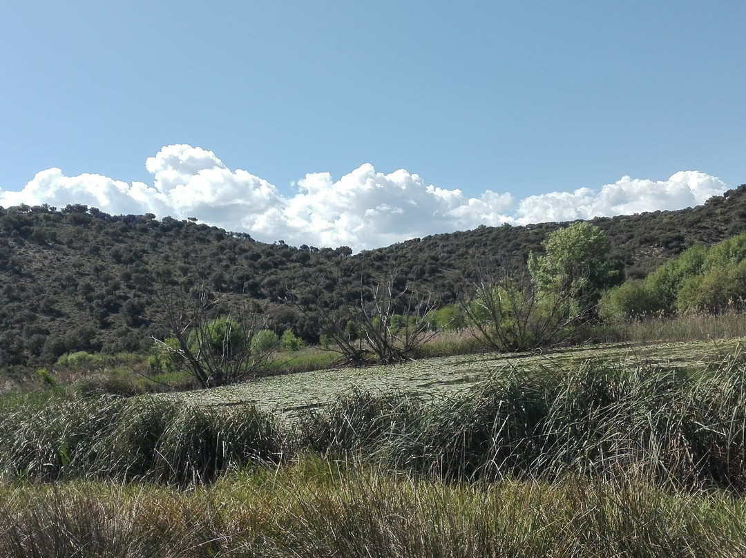 Laguna del Arquillo景点图片