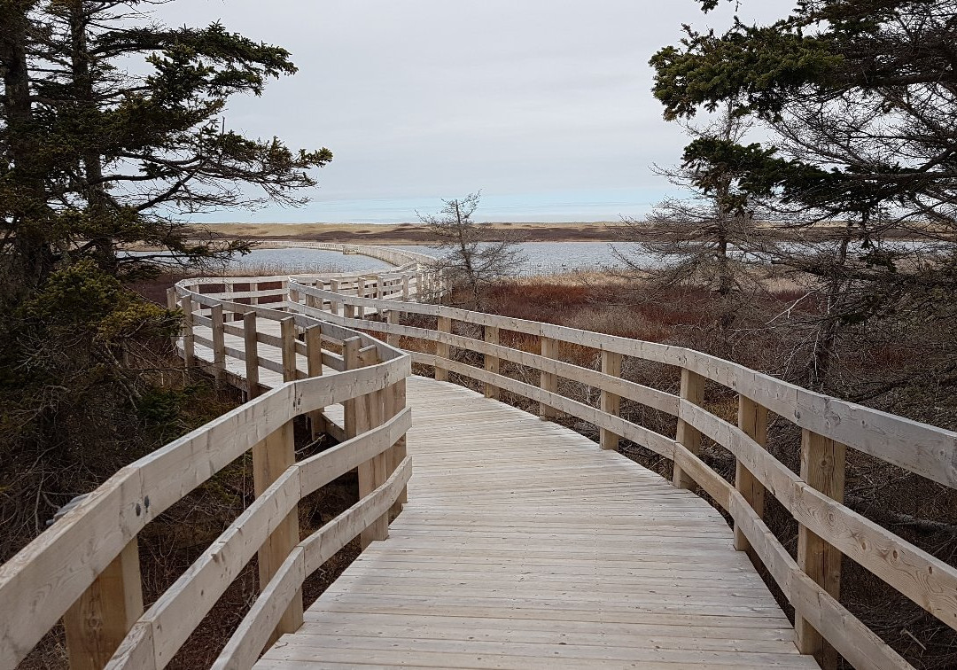 Prince Edward Island National Park景点图片