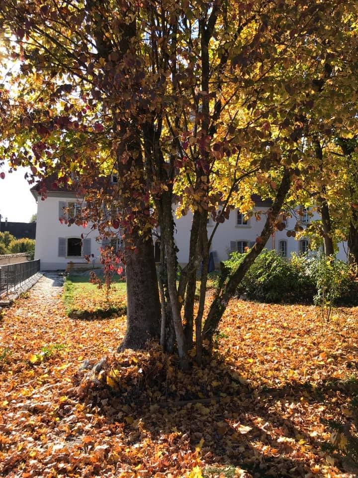 Manoir de la Côte Dieu-官方