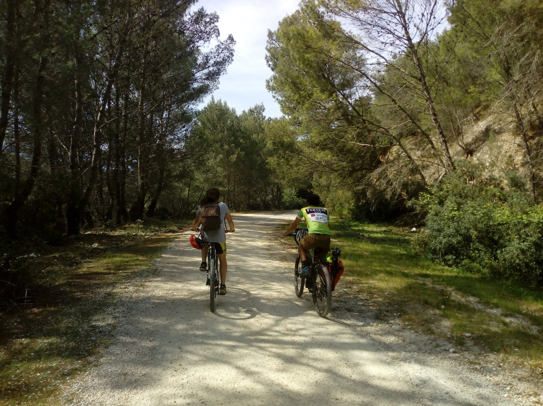 Gargano Bike Hub-维耶斯泰必去景点