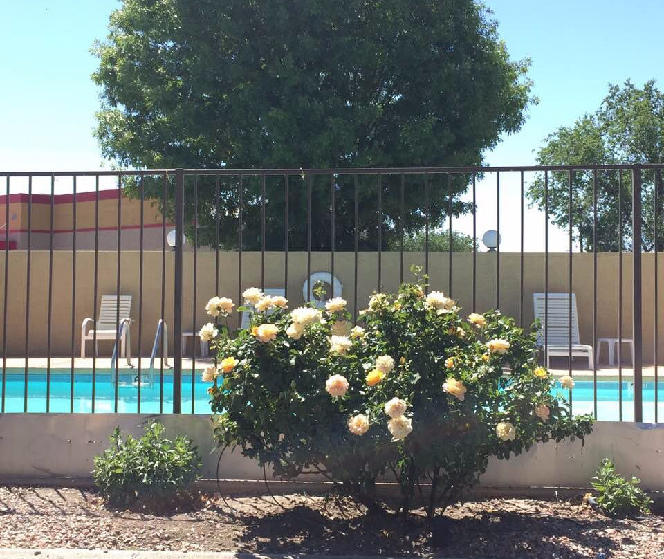 Days Inn by Wyndham Willcox主图