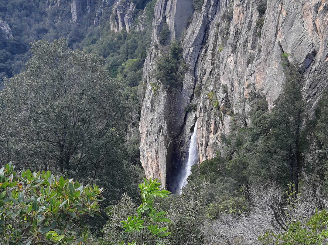 Piscia di Gallu景点图片