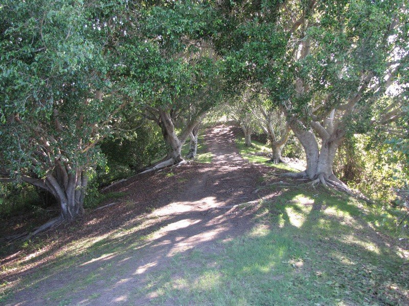 Lions Lookout on Devine's Hill-Ocean Shores必去景点