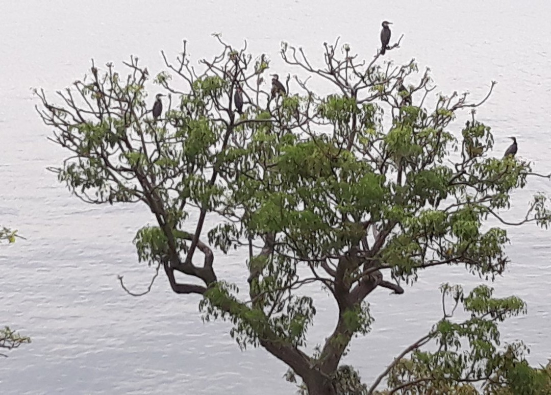 Lake Kivu-刚果民主共和国必去景点