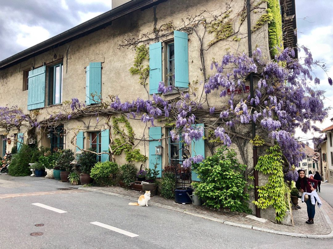 Visite à travers Aubonne-Aubonne必去景点