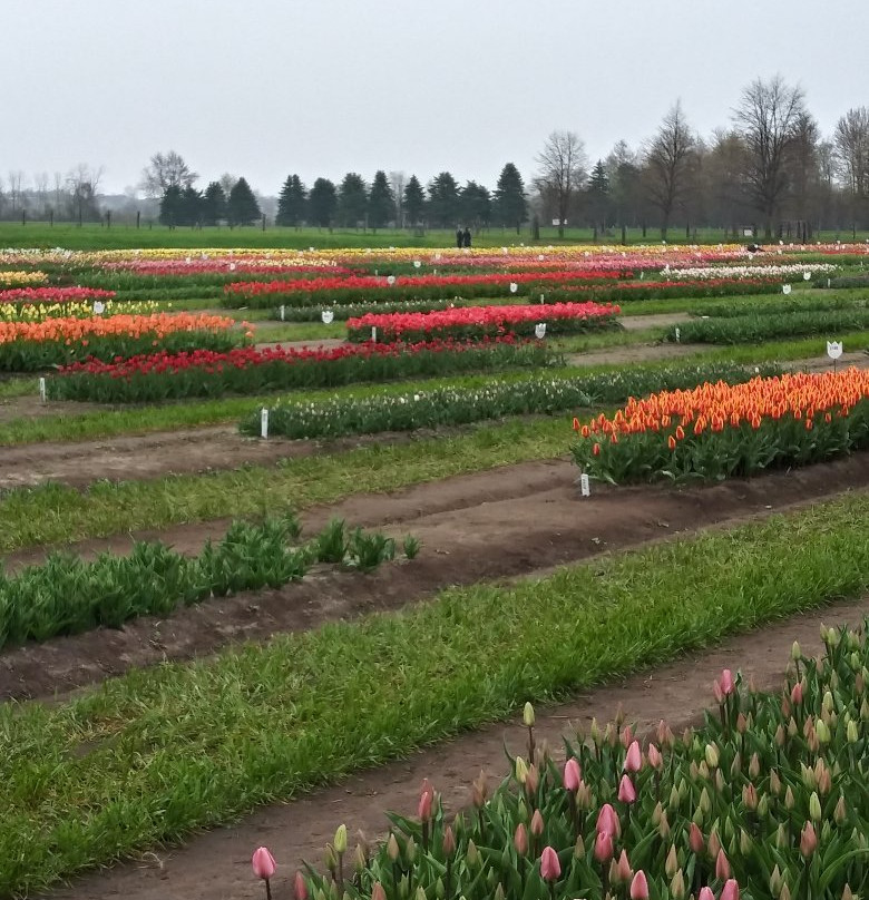 Van Raalte Farm-荷兰村必去景点