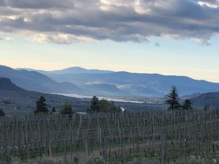 The Villa at Hester Creek主图