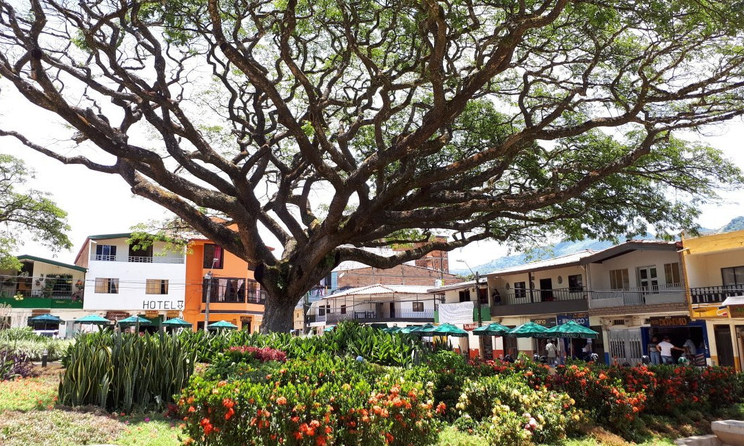 Ciudad Bolivar旅游景点-Parque Principal