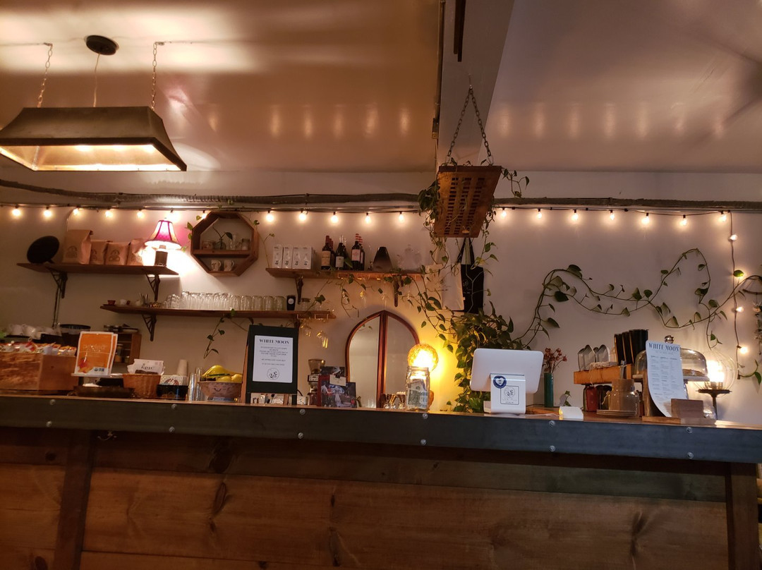 Forest Hills餐馆和美食-White Moon Cafe