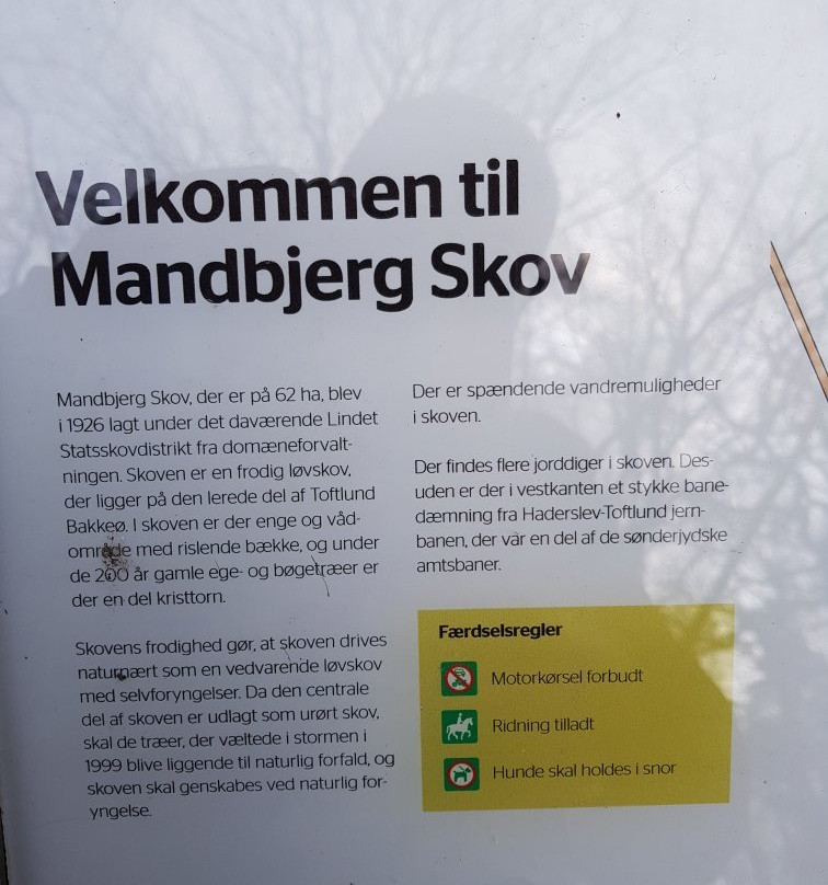 Mandbjerg Skov景点图片