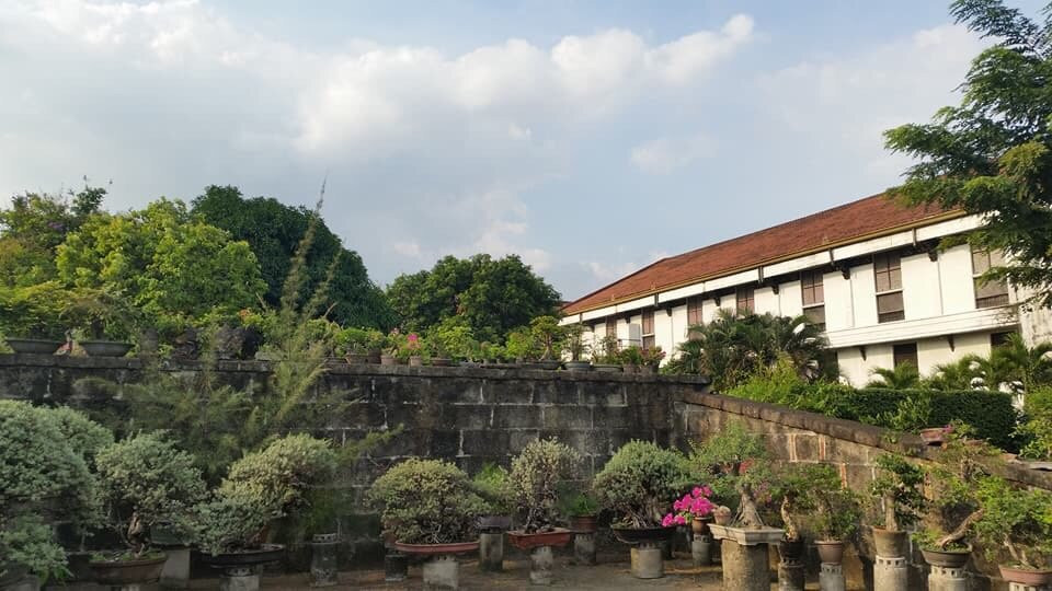 Bonsai Library and Museum-马尼拉必去景点
