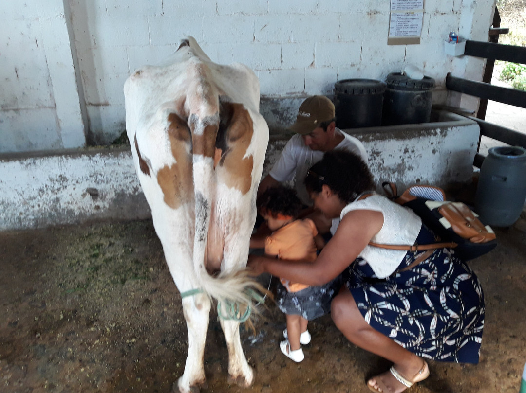 Lagoa Seca-Sao Lourenco必去景点