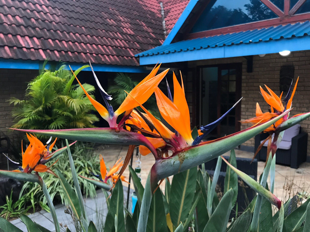 St Lucia Escape主图