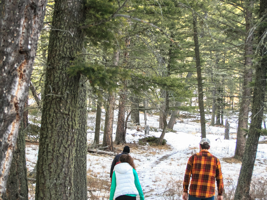 Judith Mountain Lodge主图