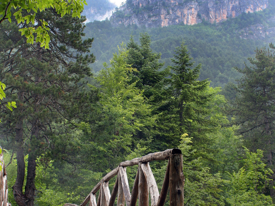 Mountain Trail Litochoro - Prionia景点图片