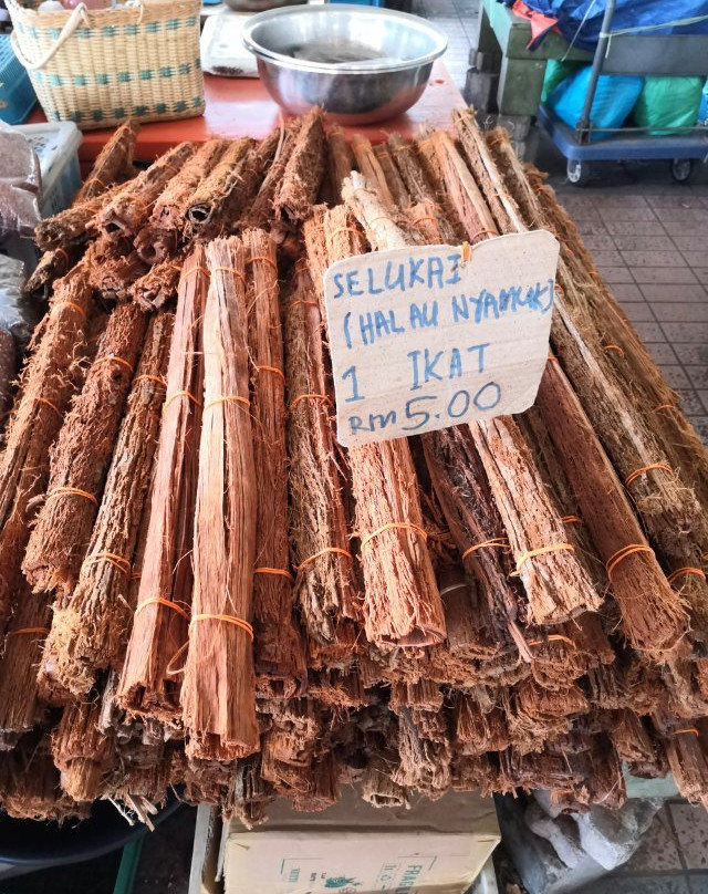 Pasar Tamu & Pasar Utama-宾图卢必去景点