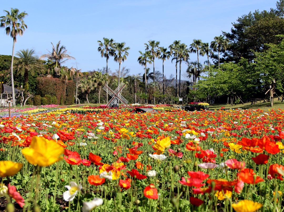 Flower Park Kagoshima-指宿市必去景点