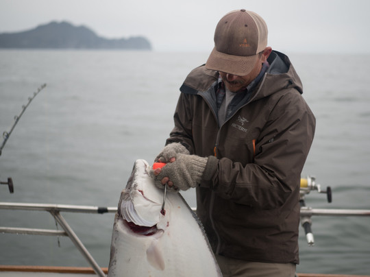 Alaska Coastal Explorer-苏厄德必去景点