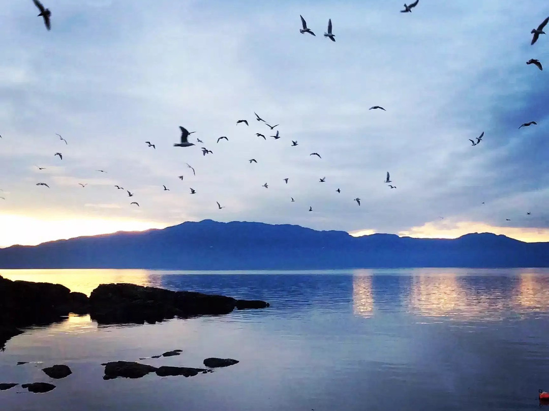 Burchills B&B by the Sea主图