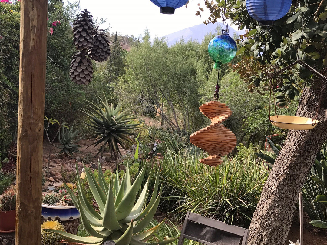 African Tulip Guesthouse主图