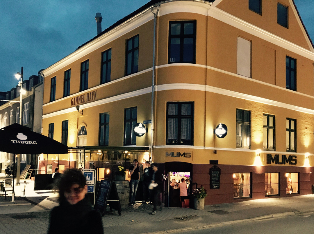 Hotel Gammel Havn主图