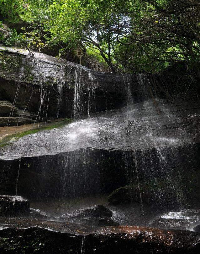 Phu Pha Thoep National Park景点图片