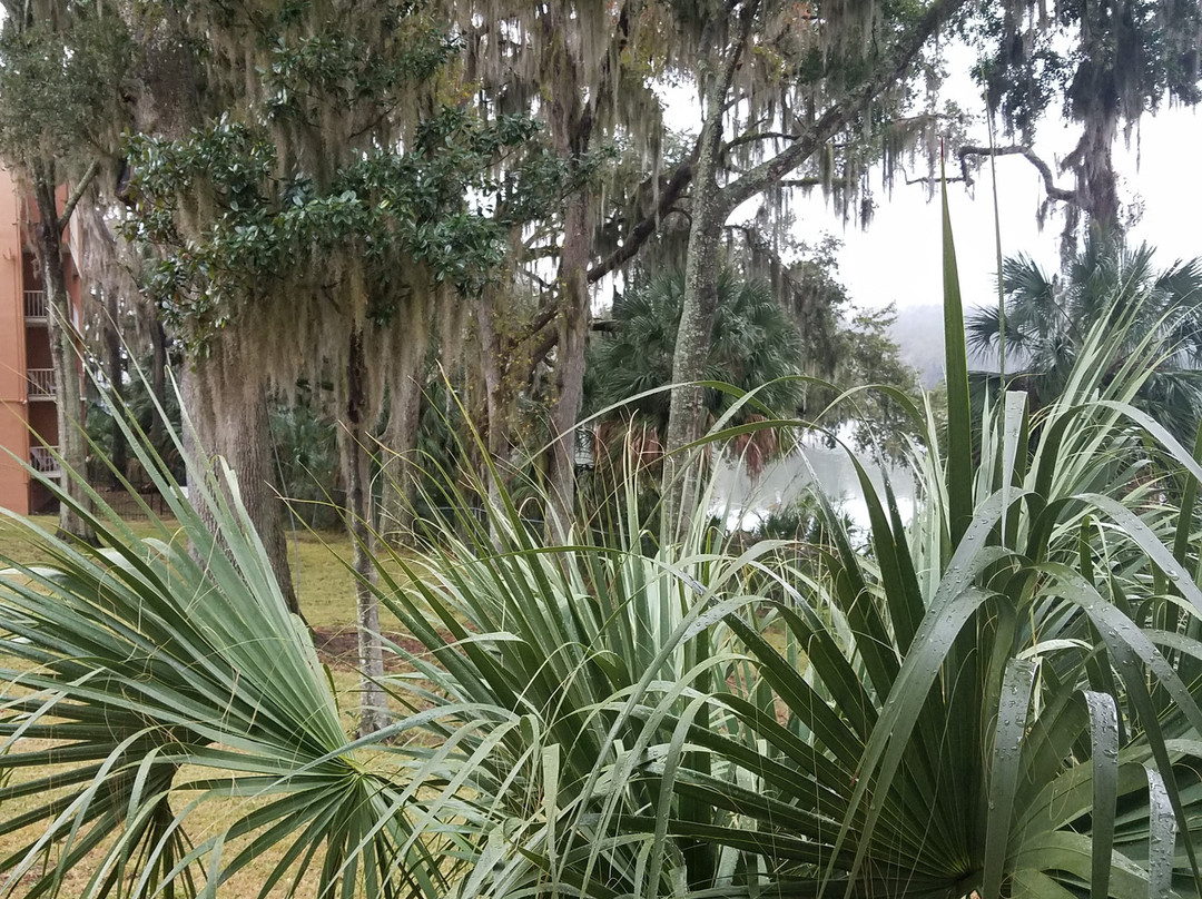 派拉蒙广场套房酒店主图