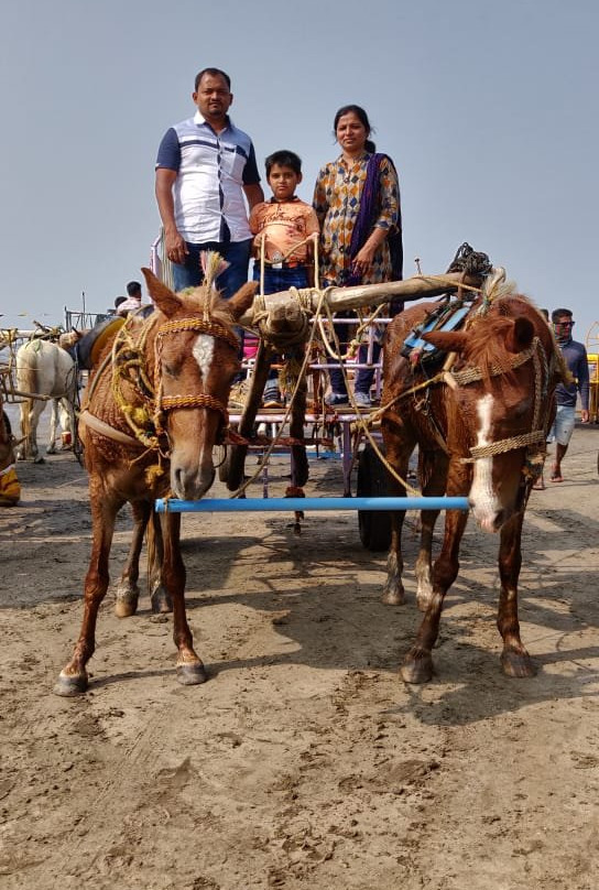 Tranquil Coast Resorts主图