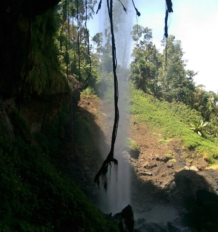 Fredson's Homestay主图