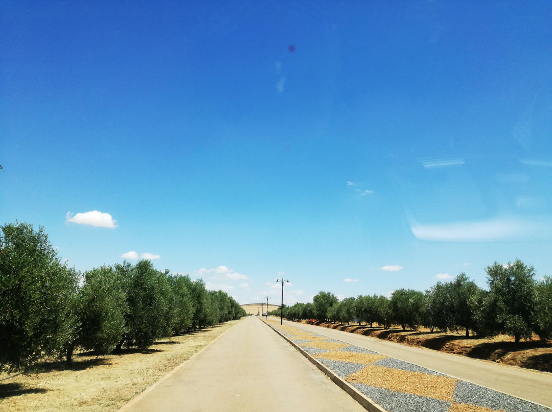 Org de Rac Organic Wine Estate-Piketberg必去景点