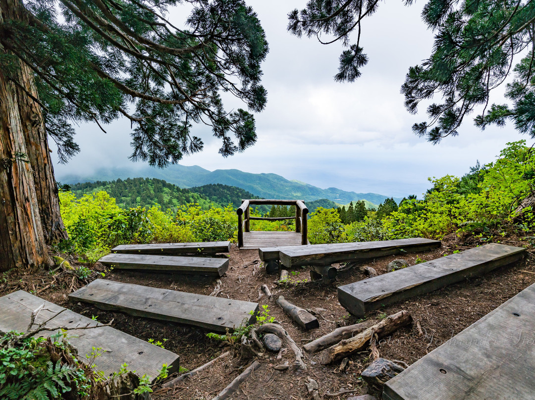 Osadoishina Natural Cedar Walking Path-佐渡市必去景点