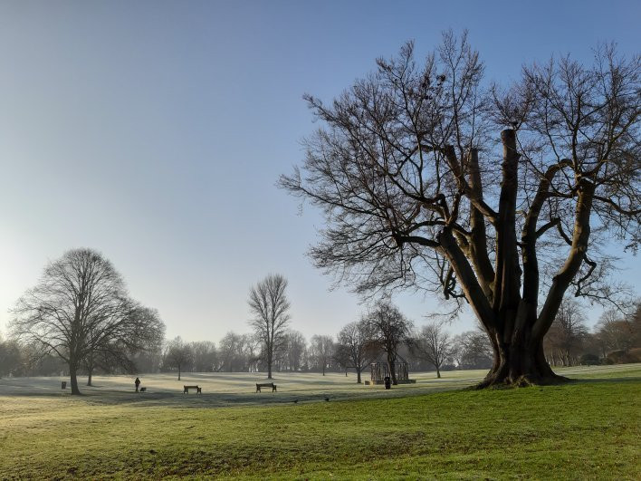 Rushden Hall Park景点图片