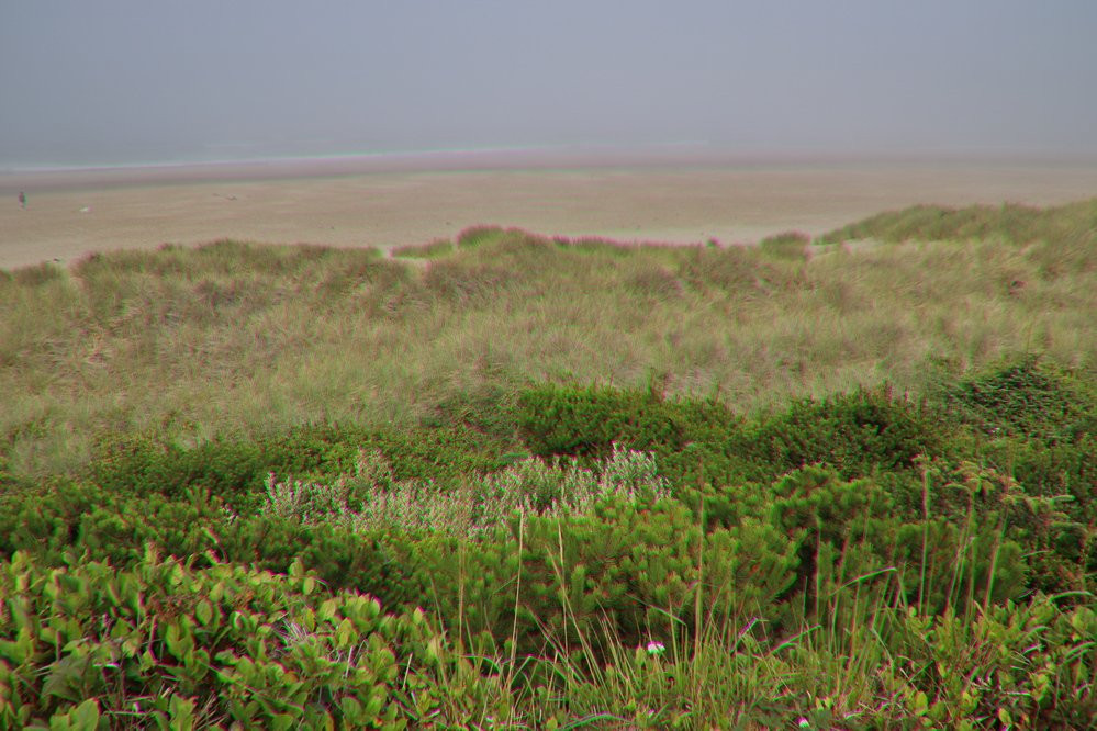 Governor Patterson Memorial State Recreation Site-Waldport必去景点