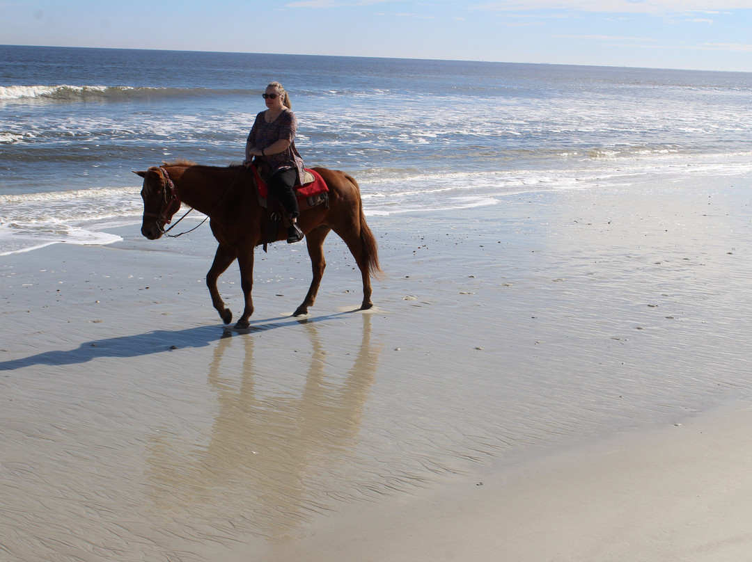 Kelly Seahorse Ranch-阿米莉亚岛必去景点