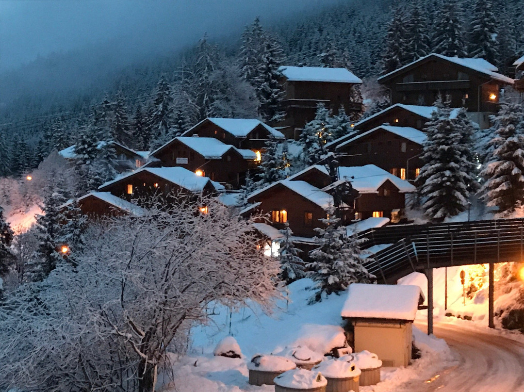Chalet Aurelia