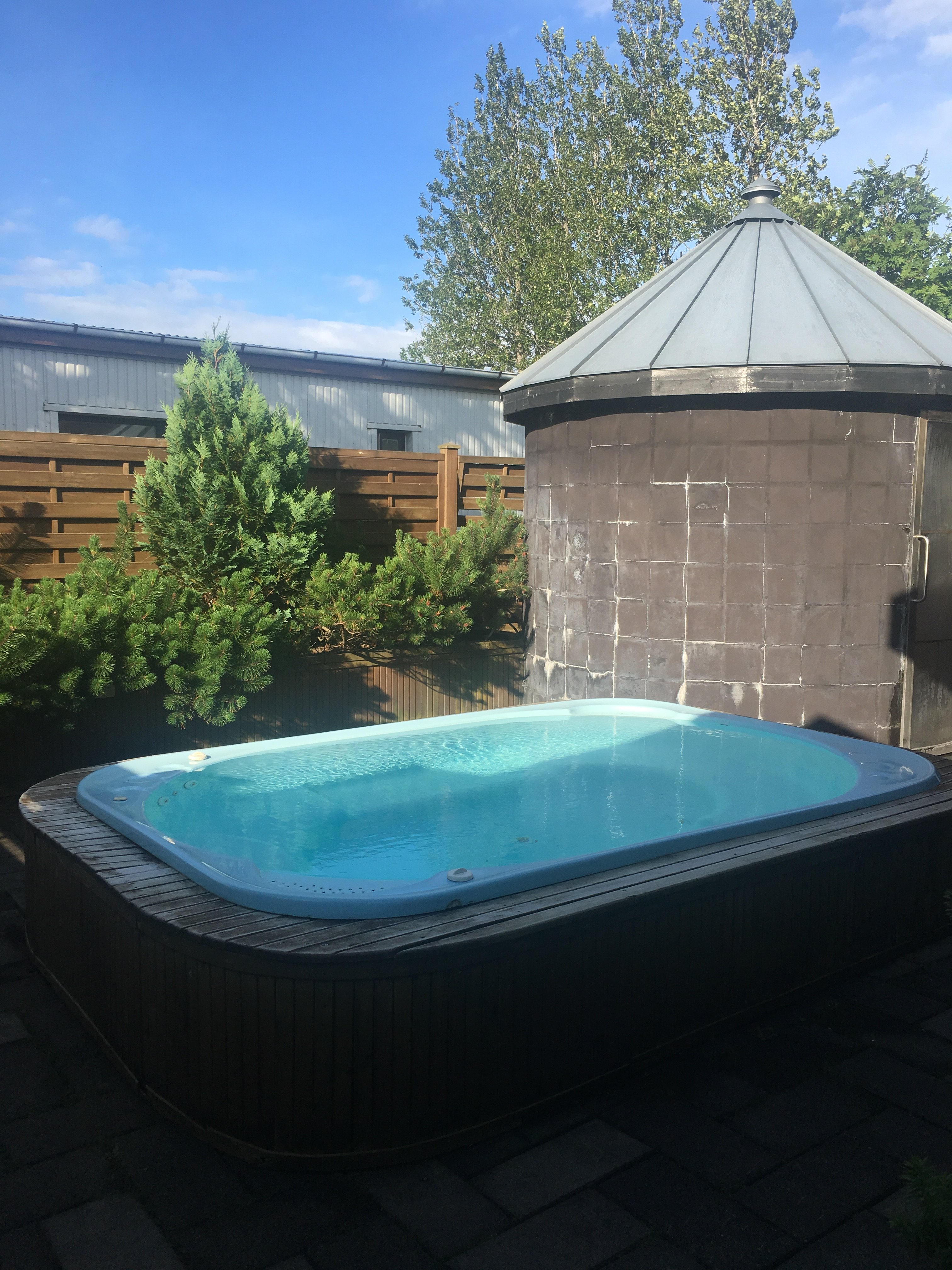 Guesthouse Frumskogar-泳池