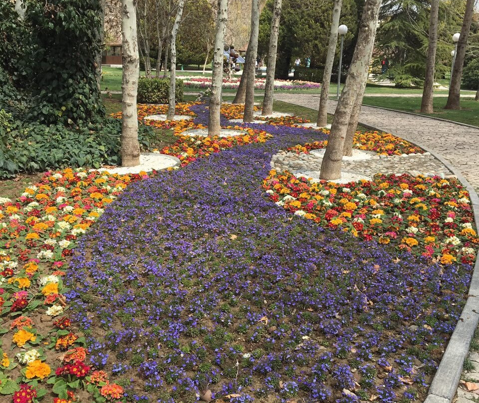 Flower Garden景点图片